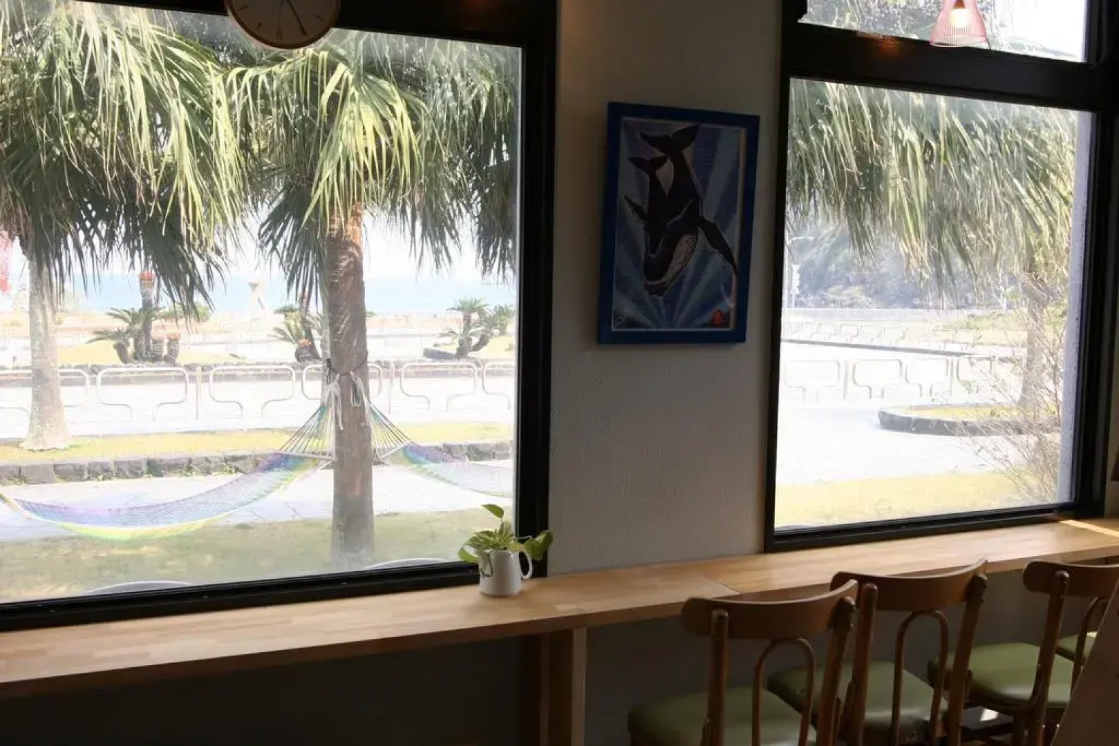 SEADIVE Dormitory - Hostel