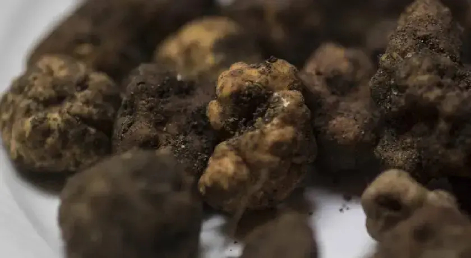 Agriturismo Tenuta Serravalle