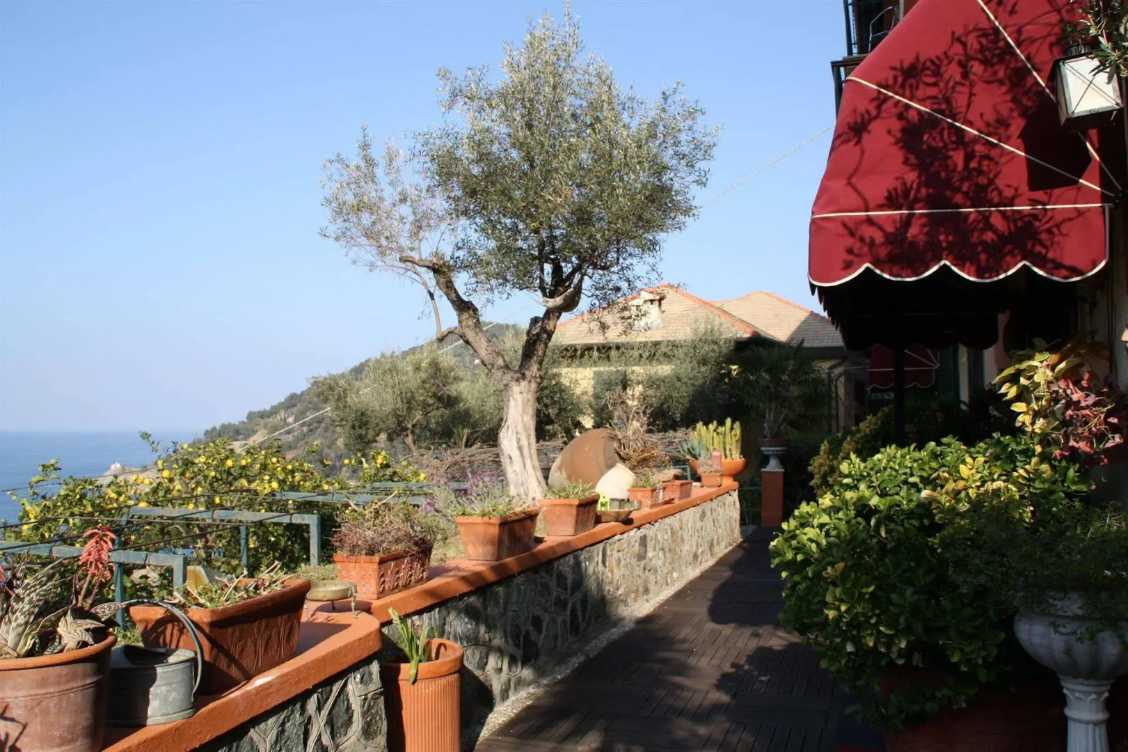 Hotel Villa Belvedere