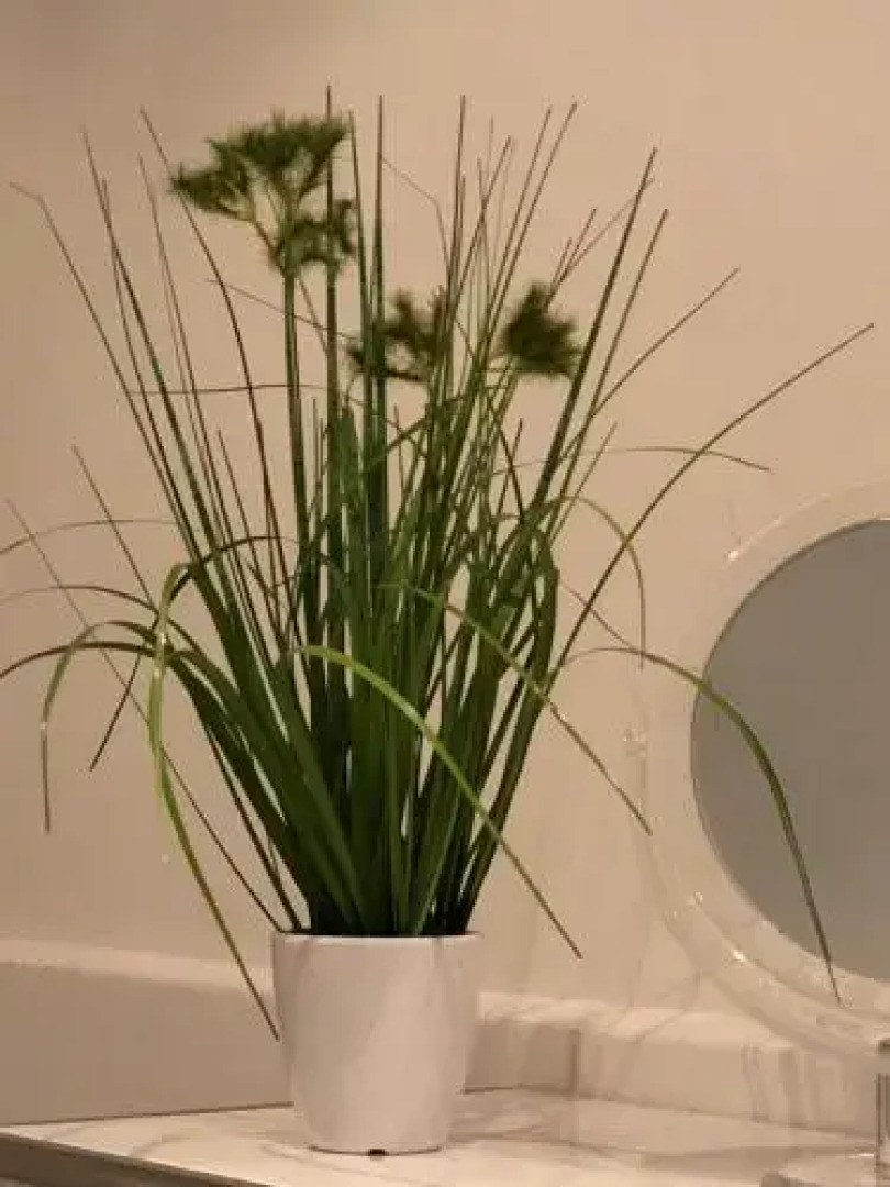 Ferien im Bomlitztal