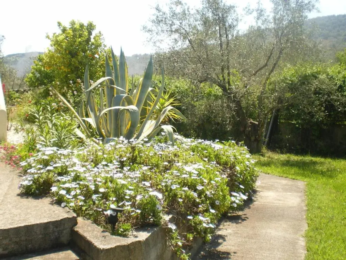 Villa Christina apartments