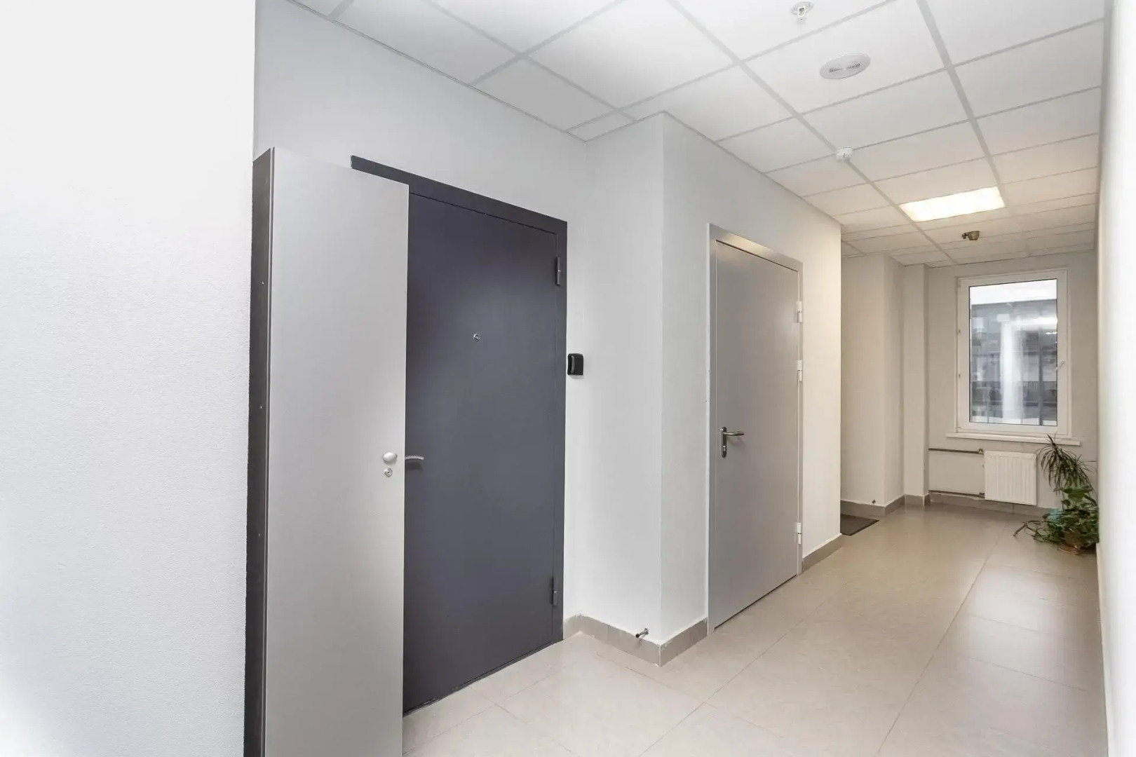 Апартаменты Кукуруза на Торфяной дороге 15 корпус 3 (1)