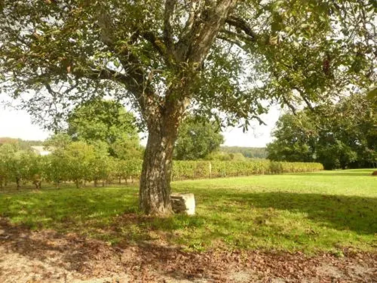 Chateau Galot la Chapelle