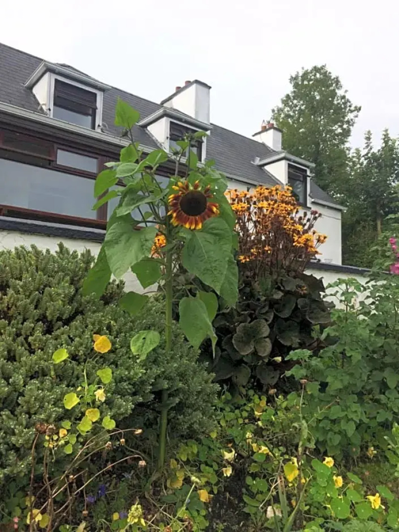 Donegal Town Independent Hostel