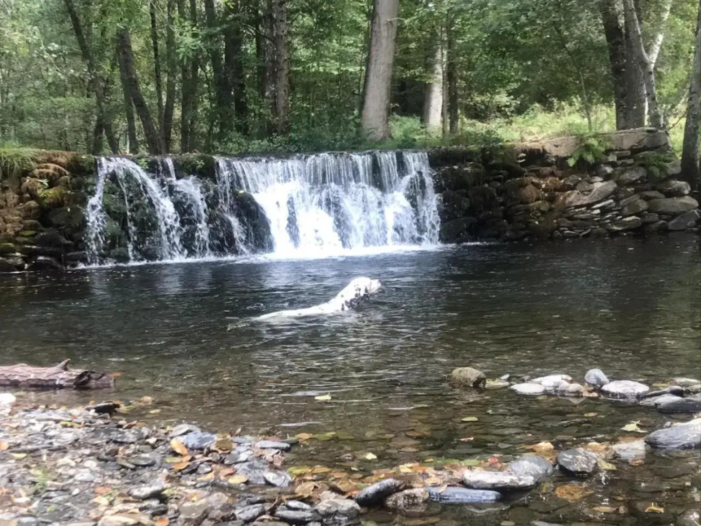 Pensión Blanco Conde