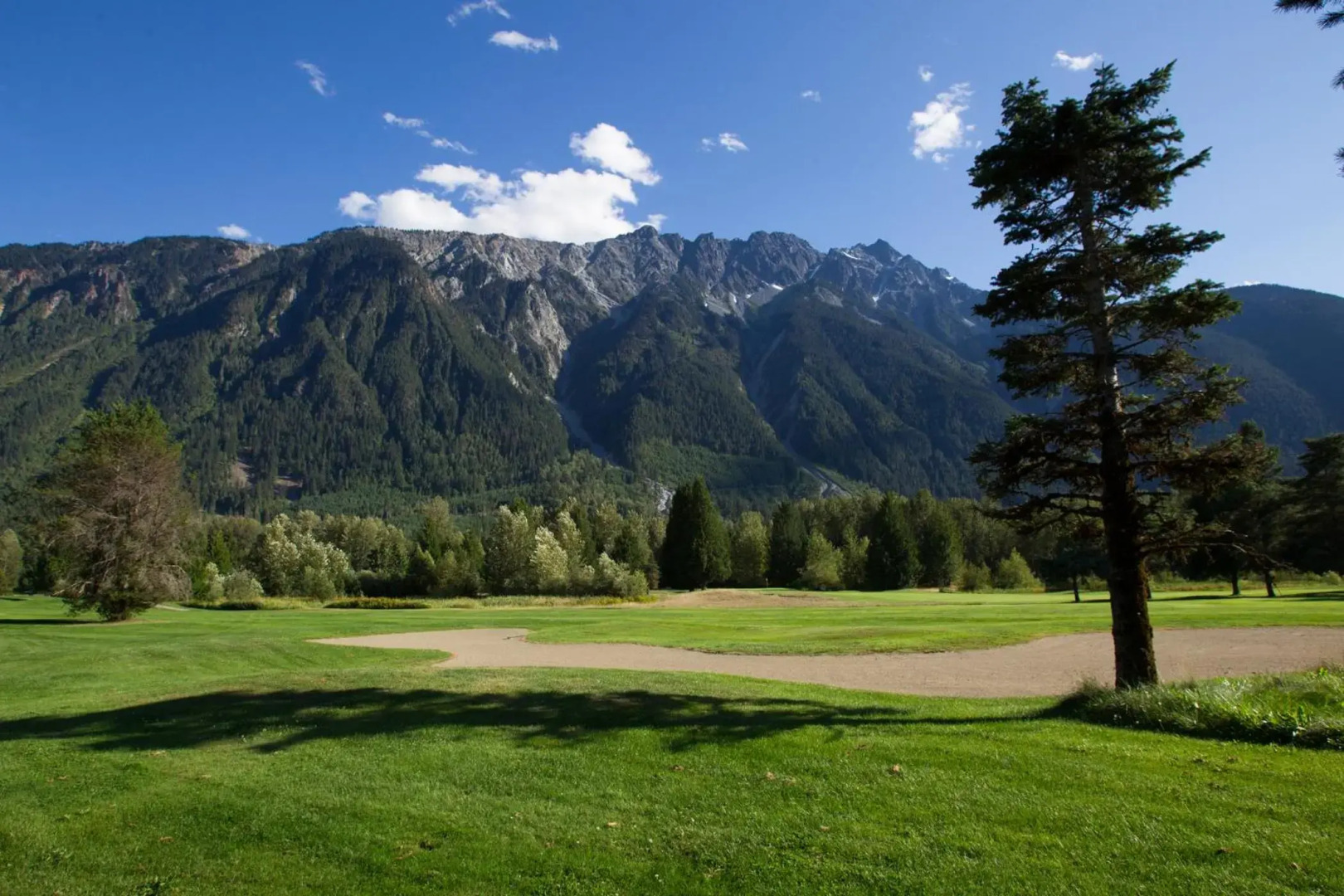 Pemberton Valley 1 bedroom unit WIFI cable TV free parking walk to Village