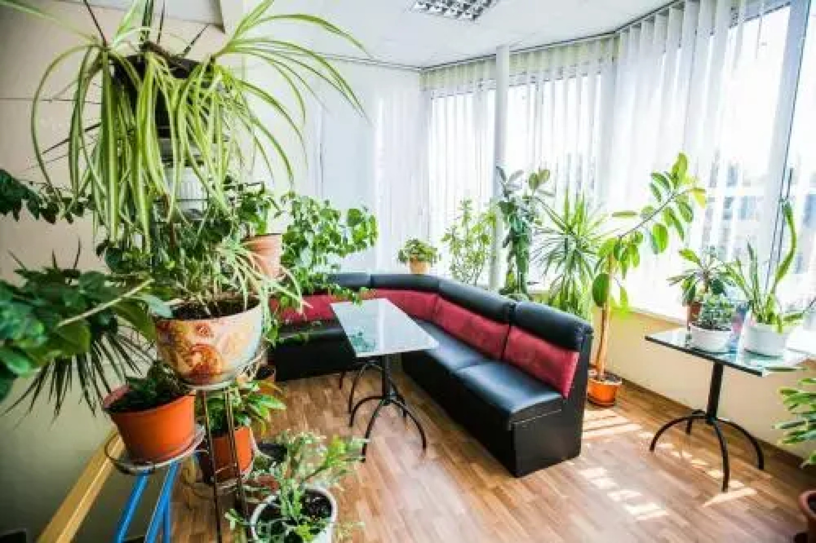 Эдельвейс Отель 