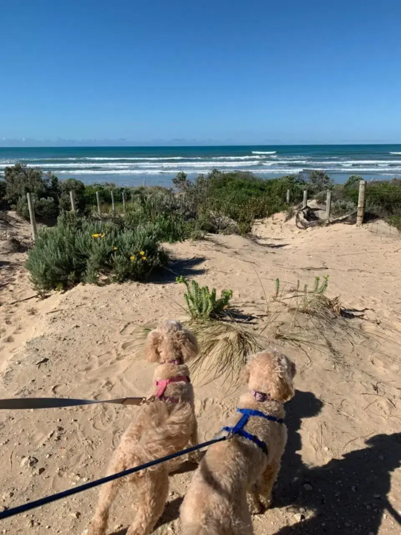 The Dunes Beach House
