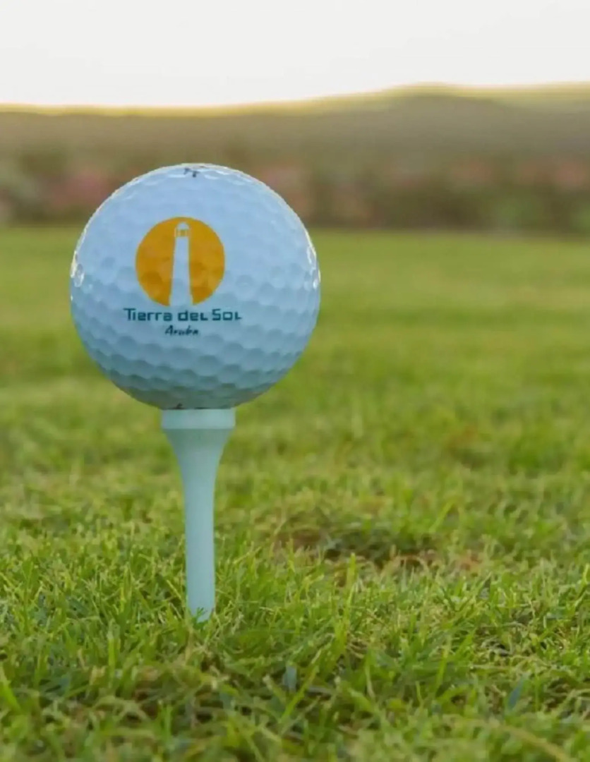 Aruba Cunucu Residence