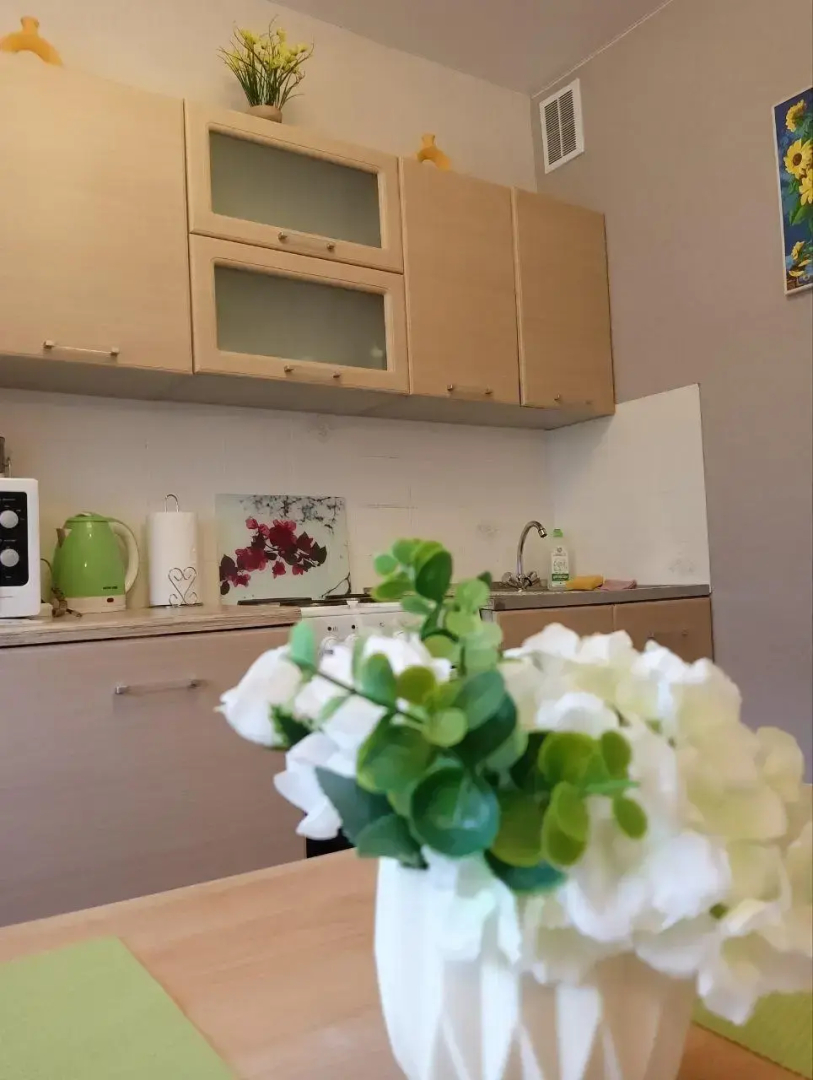 Апартаменты на улице Дружинина 62