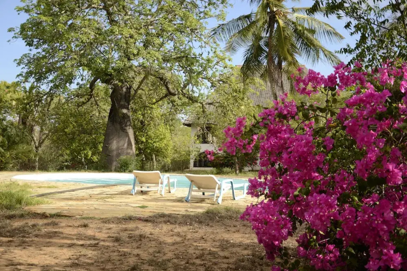 Kirathimo Explorers Oasis Diani - Hostel