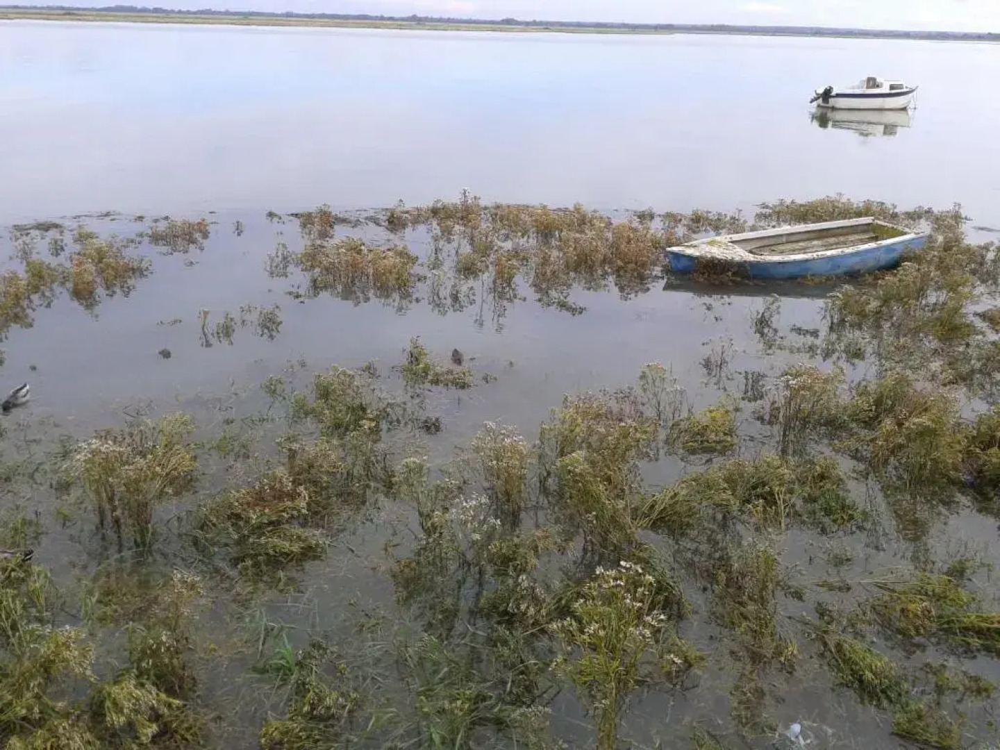 Hôtel du Port et des bains