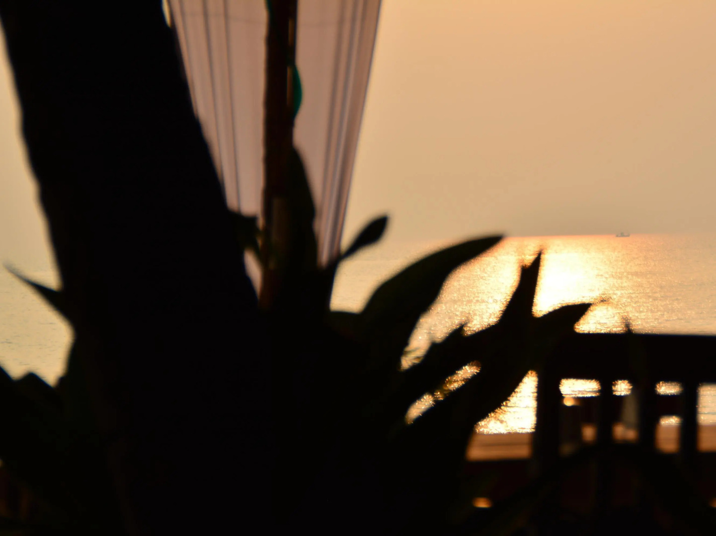 Roundcube Beach Bungalows