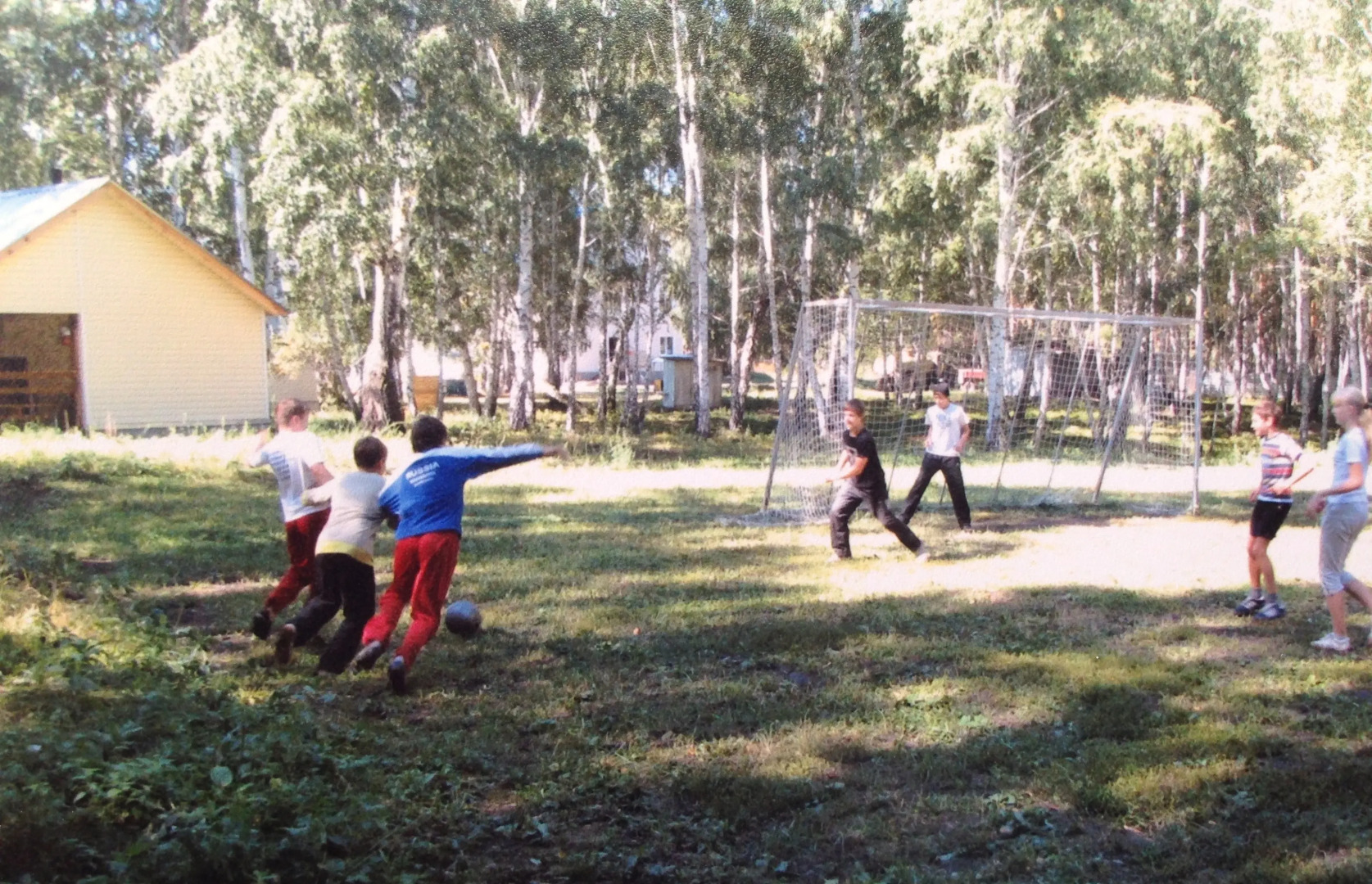 Зеленая поляна