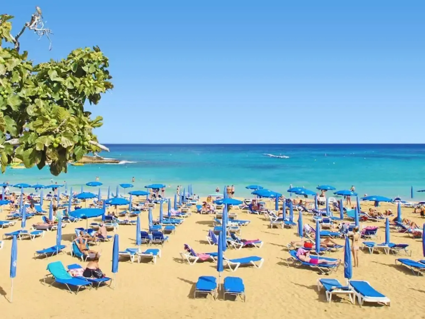 Luna Paralimni in Paralimni