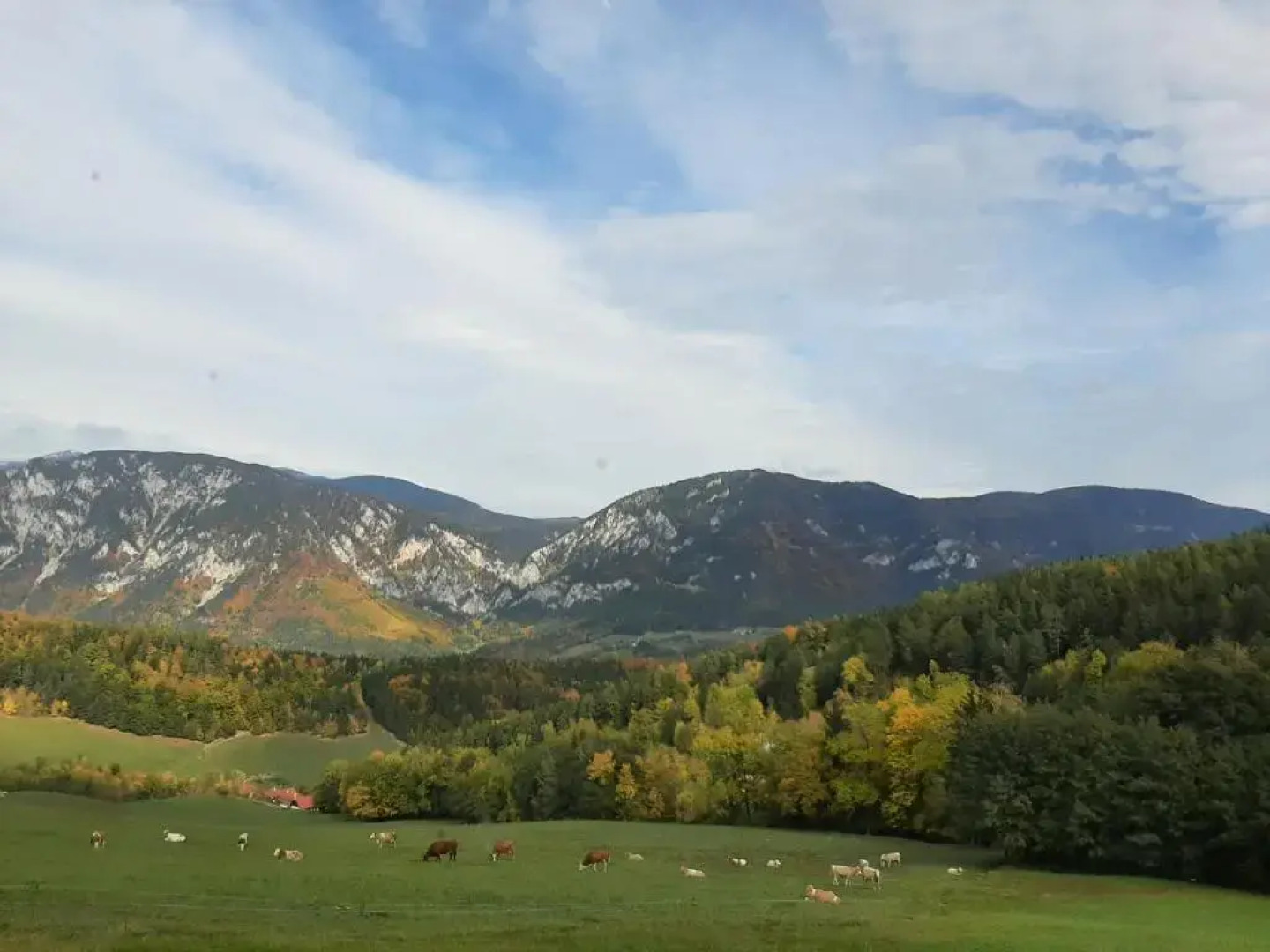 Ferienwohnung Holzer Top 2