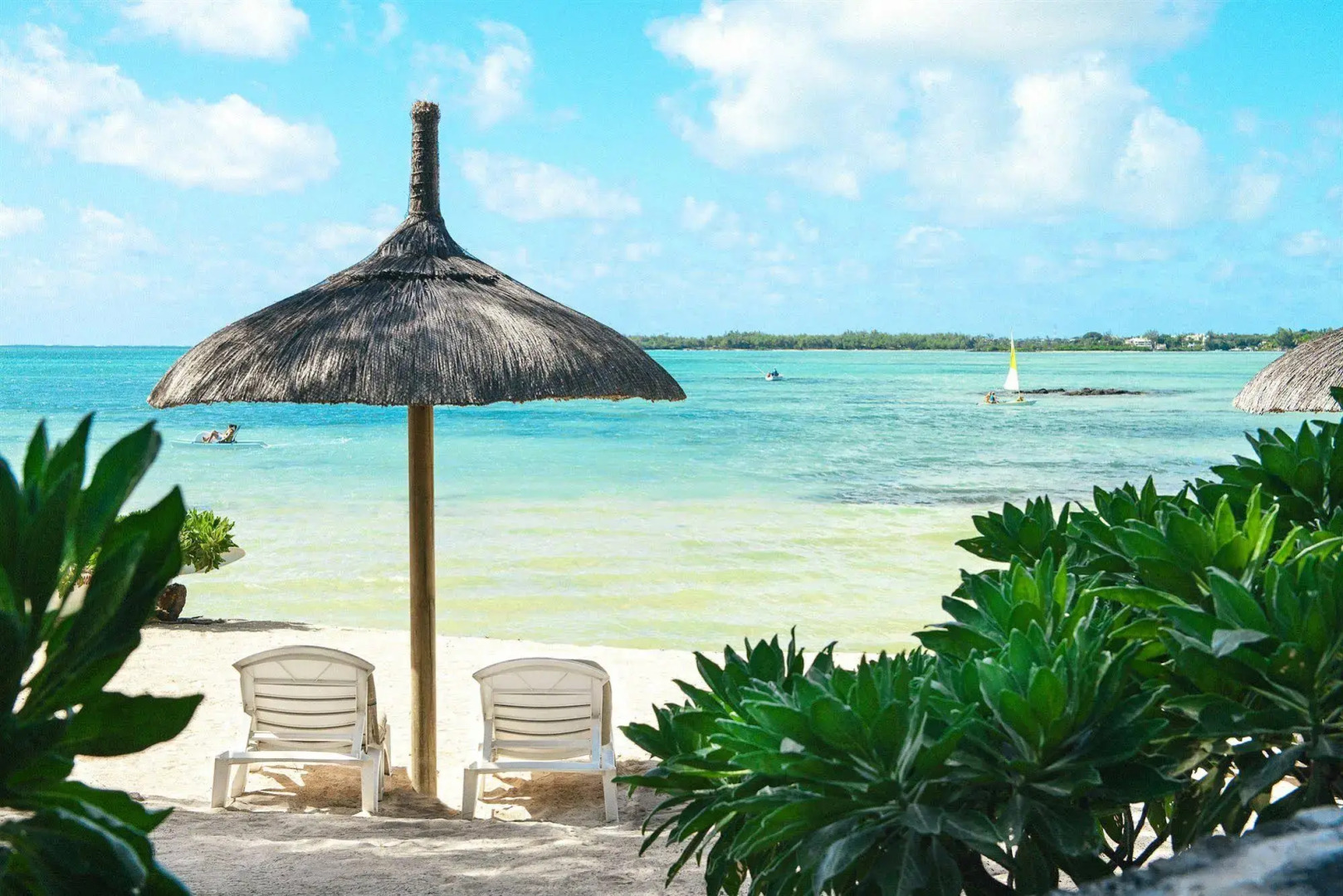 Lagoon Attitude - Adults Only