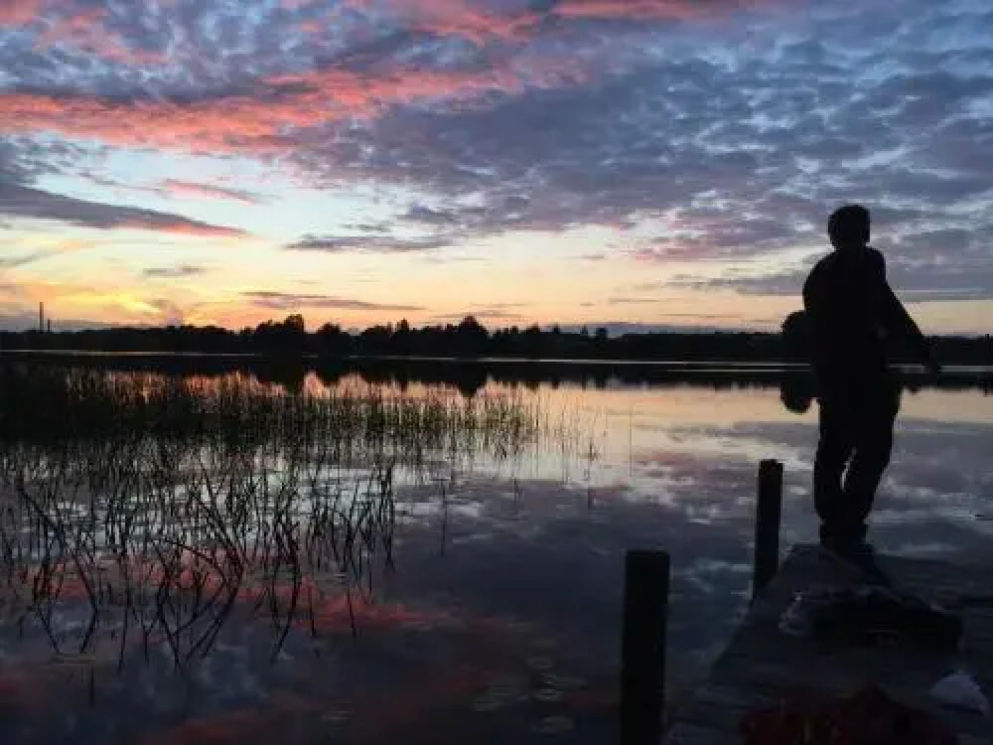 Silkeborg Sø Camping Apartments