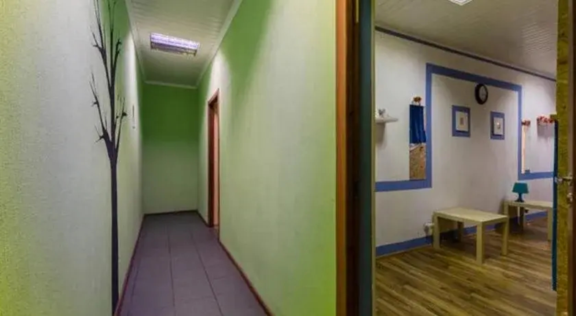 Green Cat Capsule Hostel