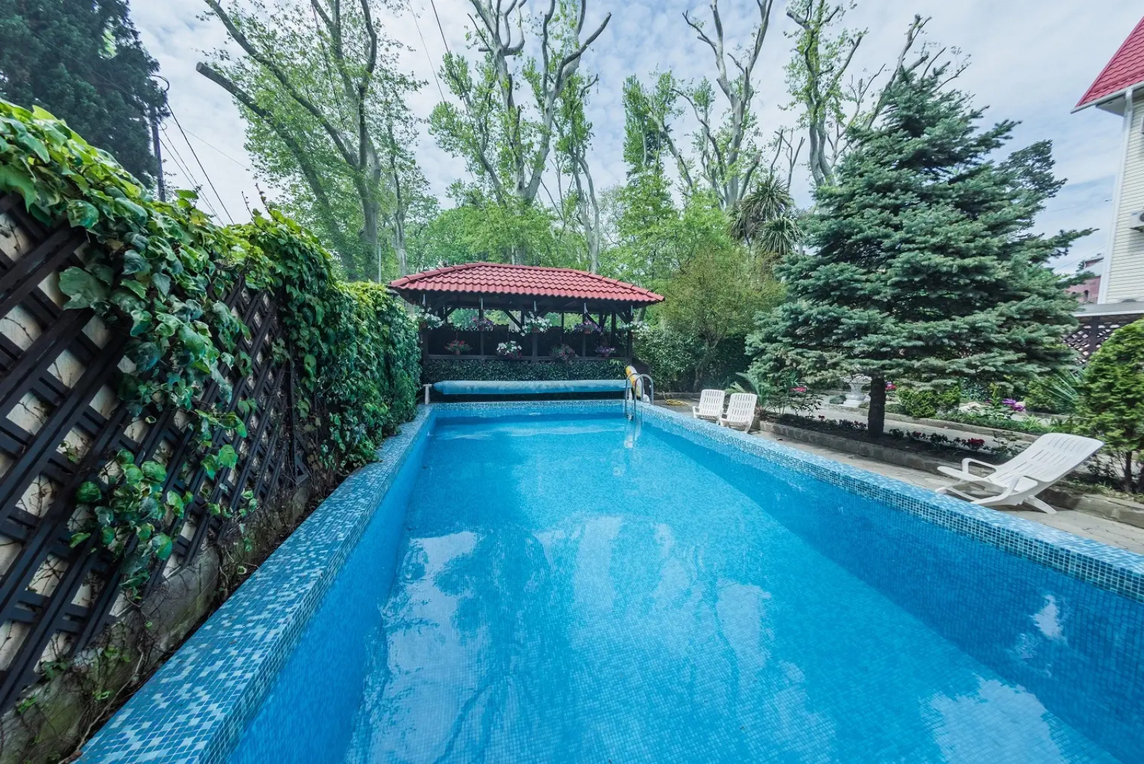 Бристоль (Адлер)