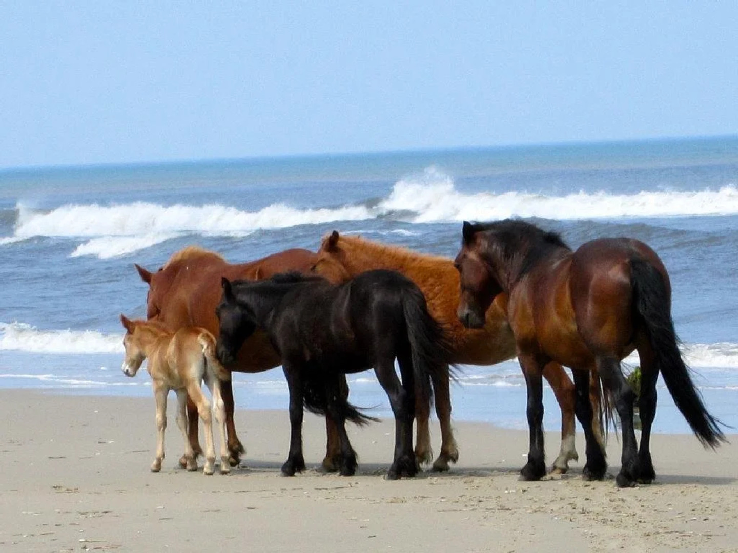 Blackbeard's Treasure