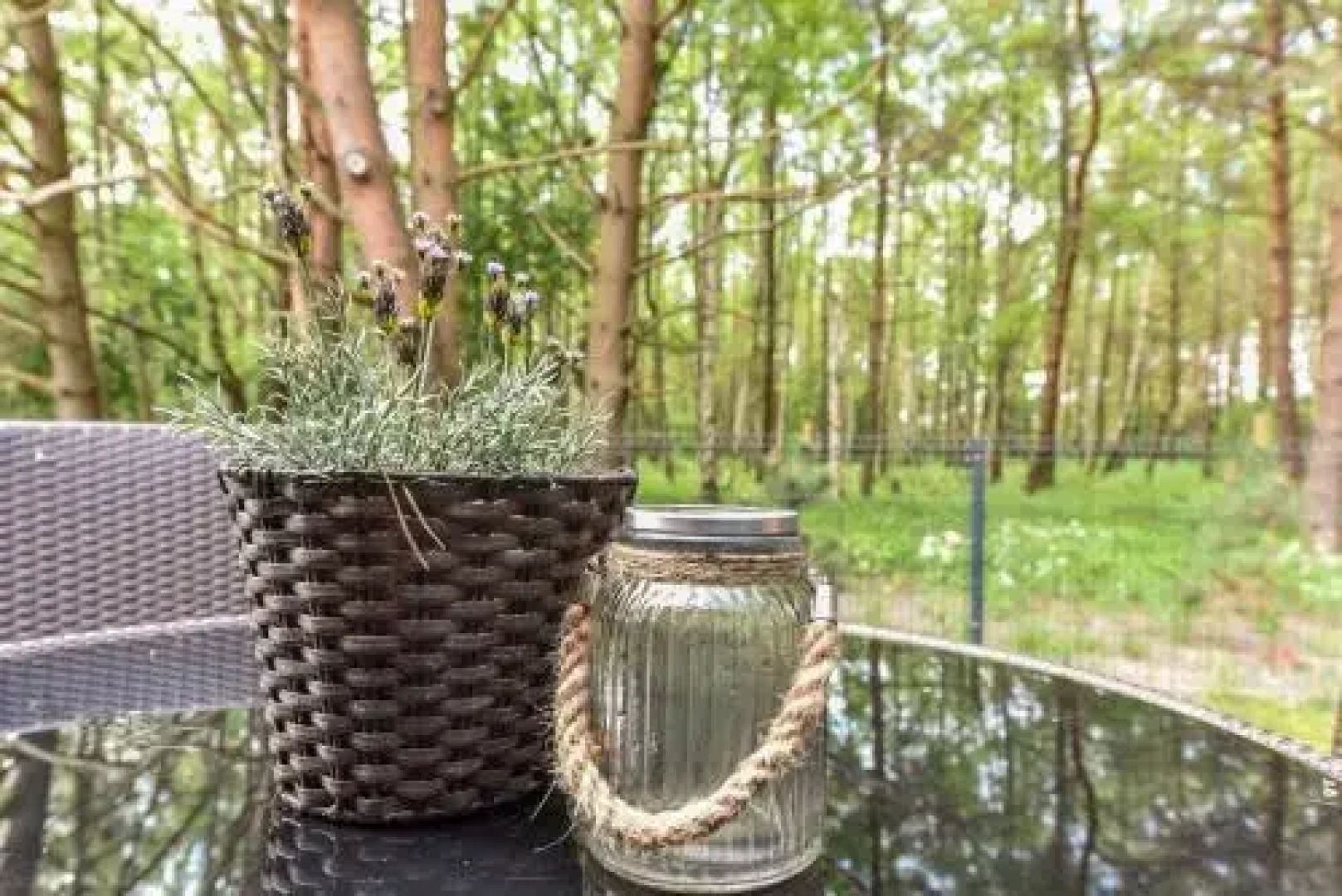 Ciki Puki Pajurys by alia Kopa