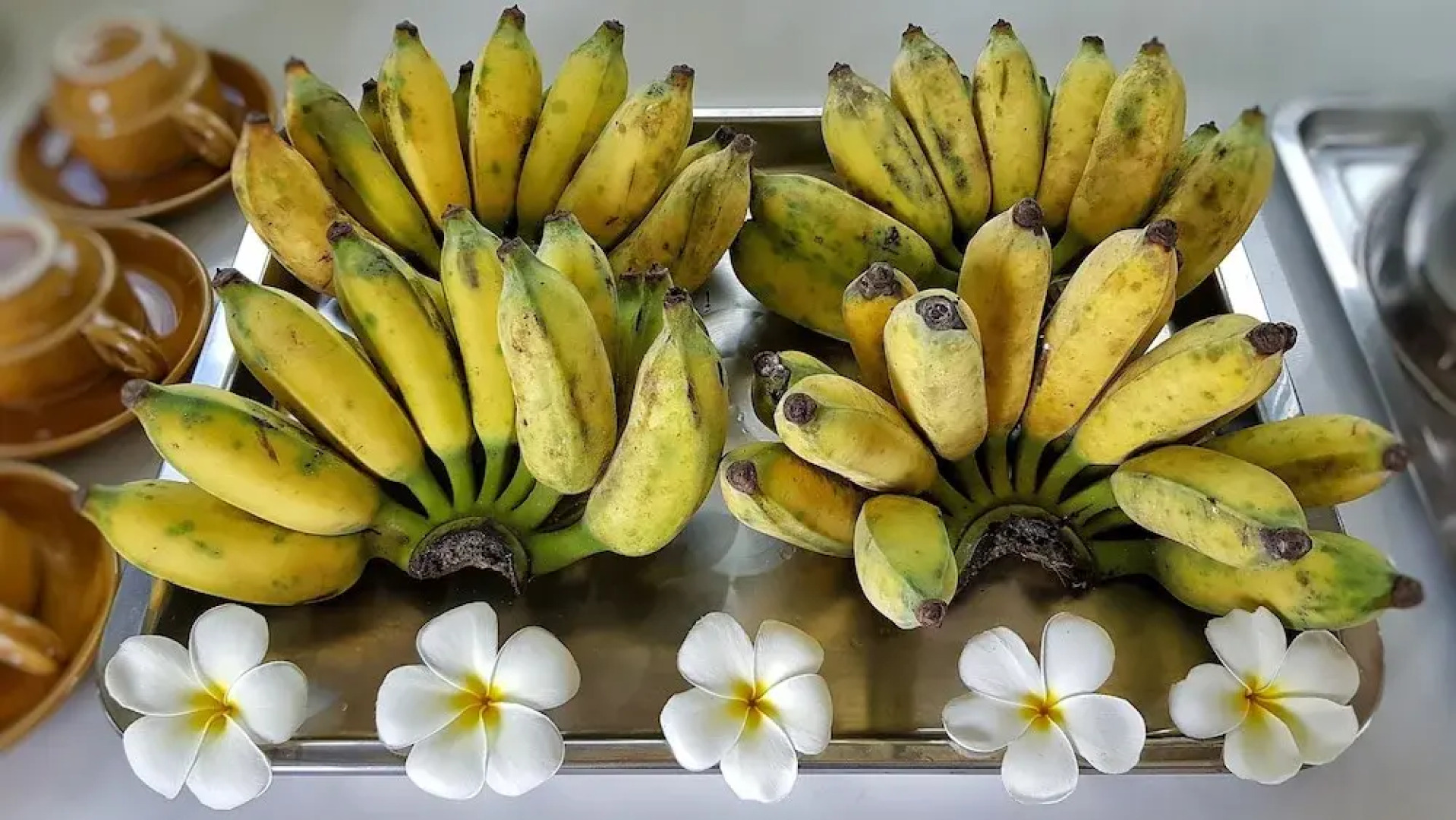 Bali Boutique Hotel Suratthani