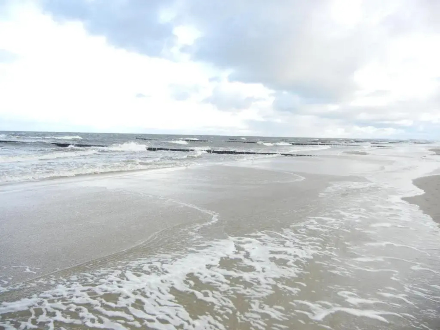 moderne 3-Raum Ferienwohnung Strandmöwe mit Panoramafenster
