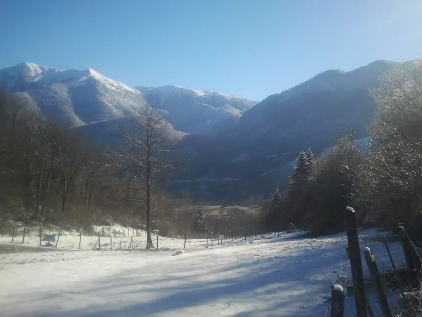 Les Insolites d'Eljie