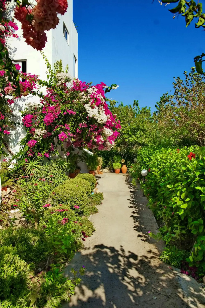 Pauls Garden Studios