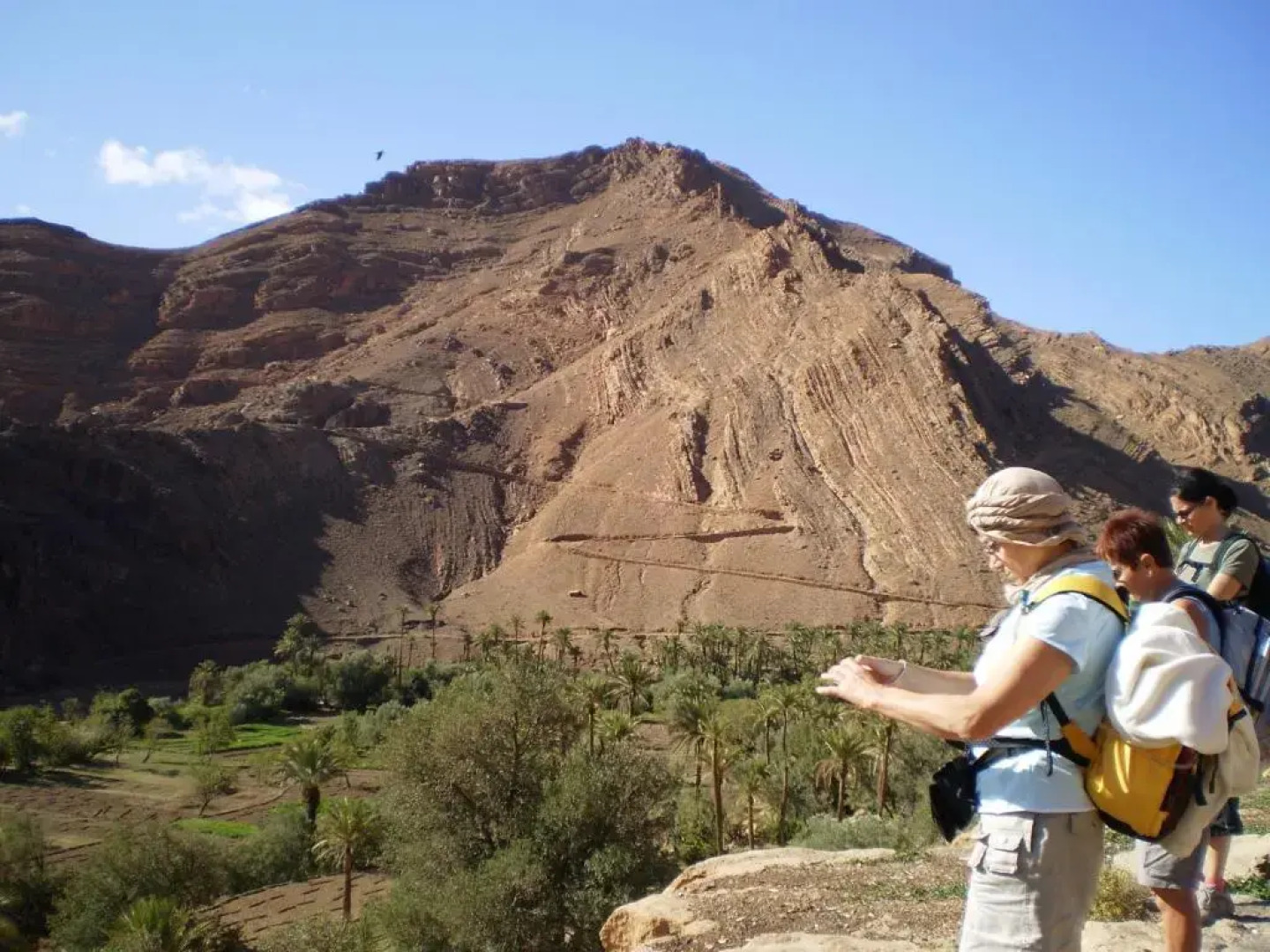 Auberge Restaurant Le Safran Taliouine