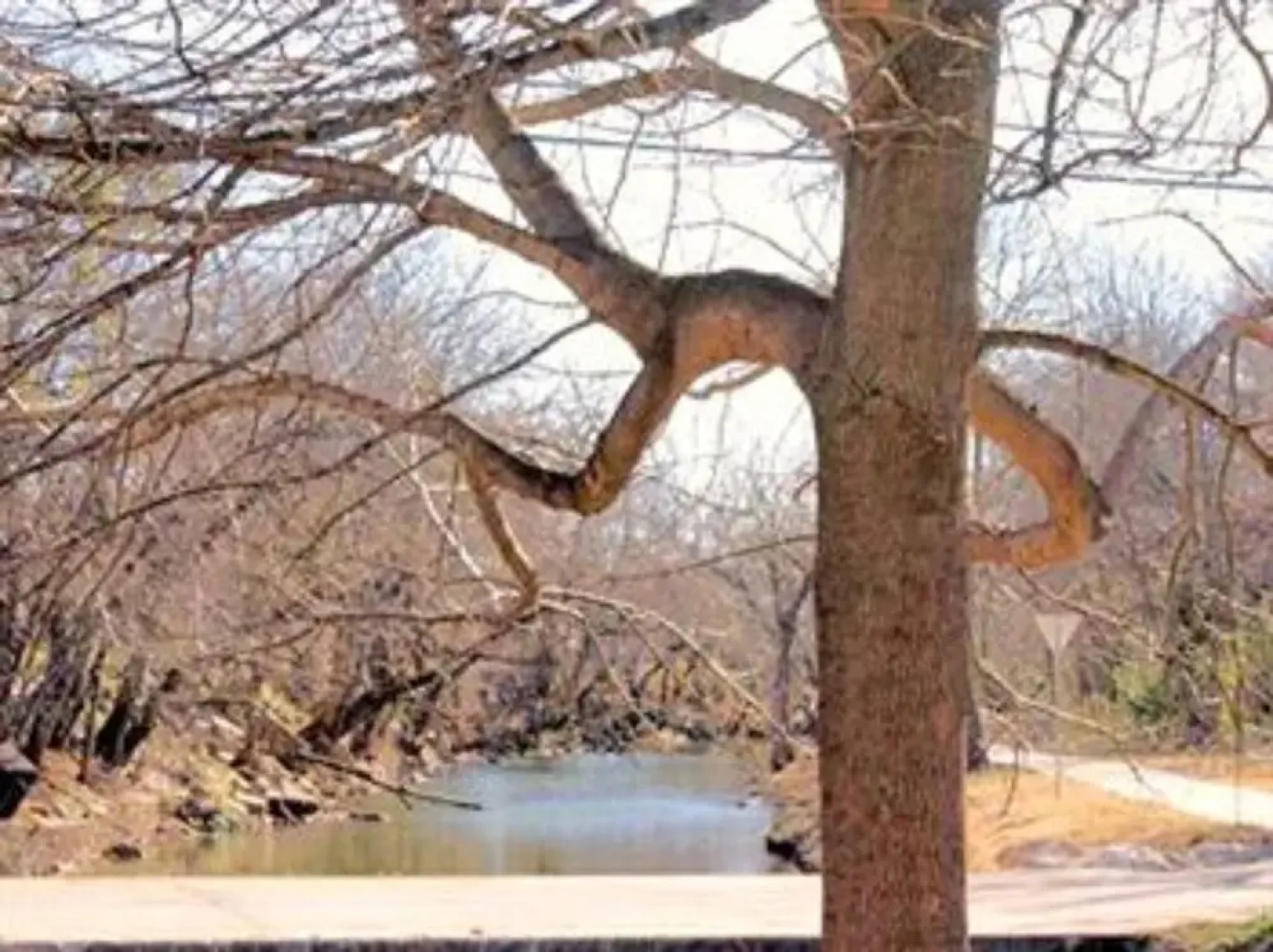 River Rock Bed and Breakfast Cottages