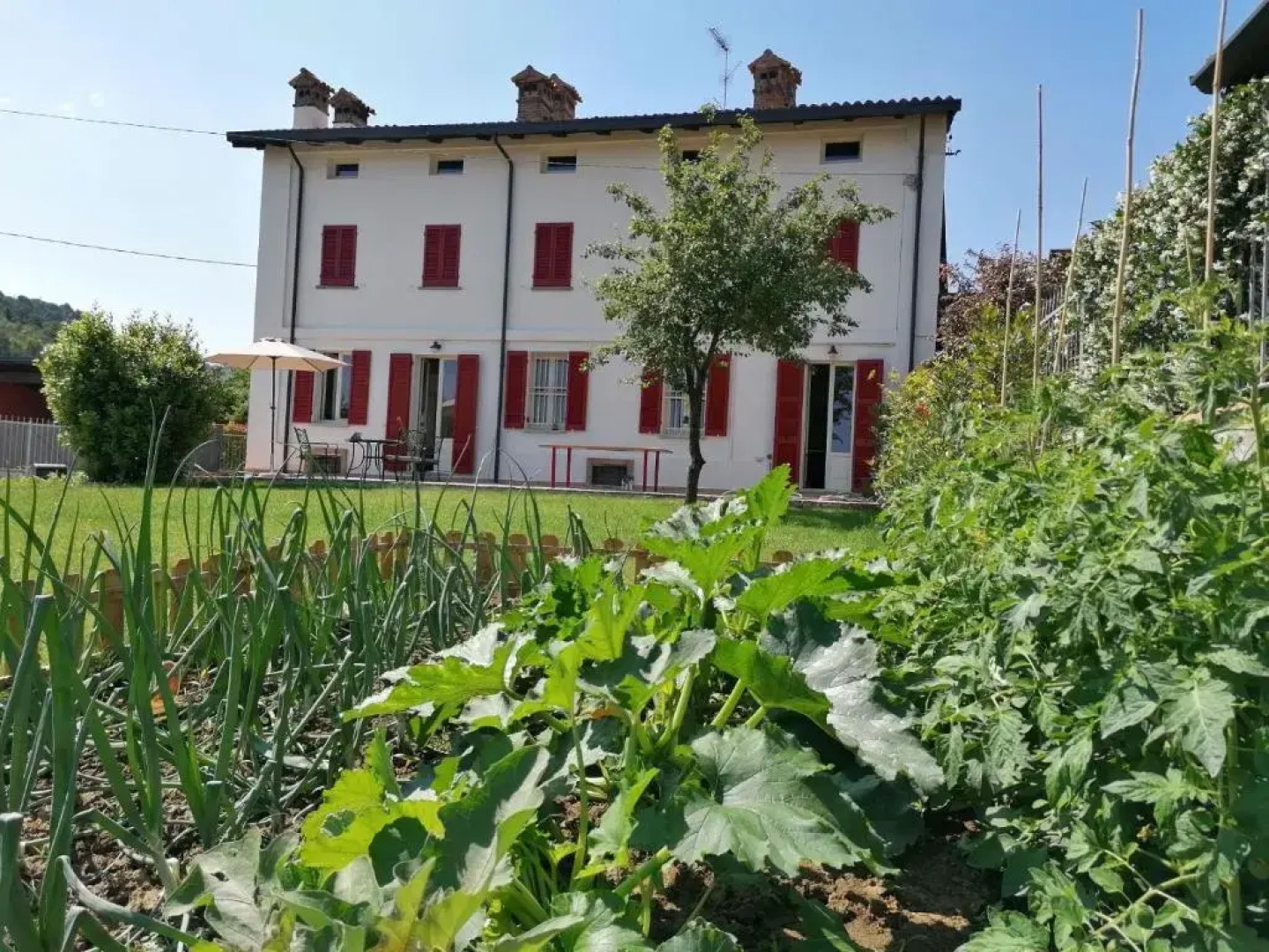 La Mafalda in Oltrepo