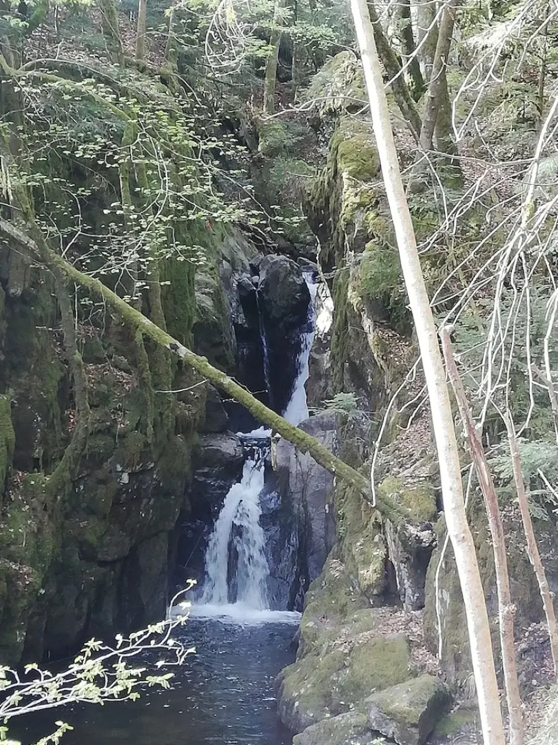 L'écrin de Masevaux