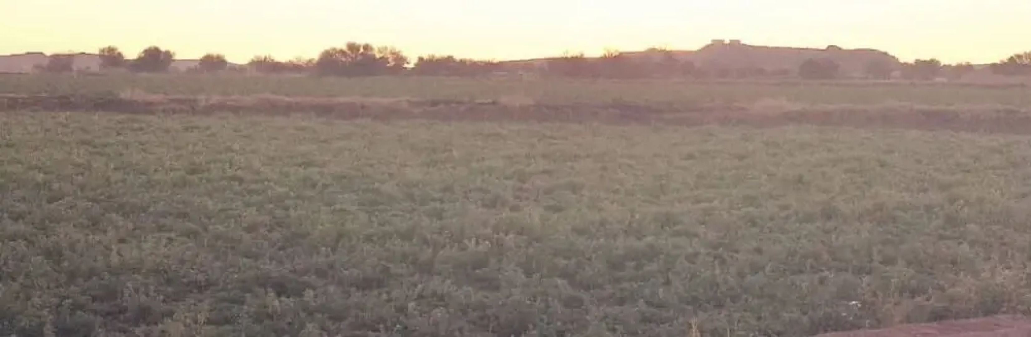 Maros Self Catering Guesthouse