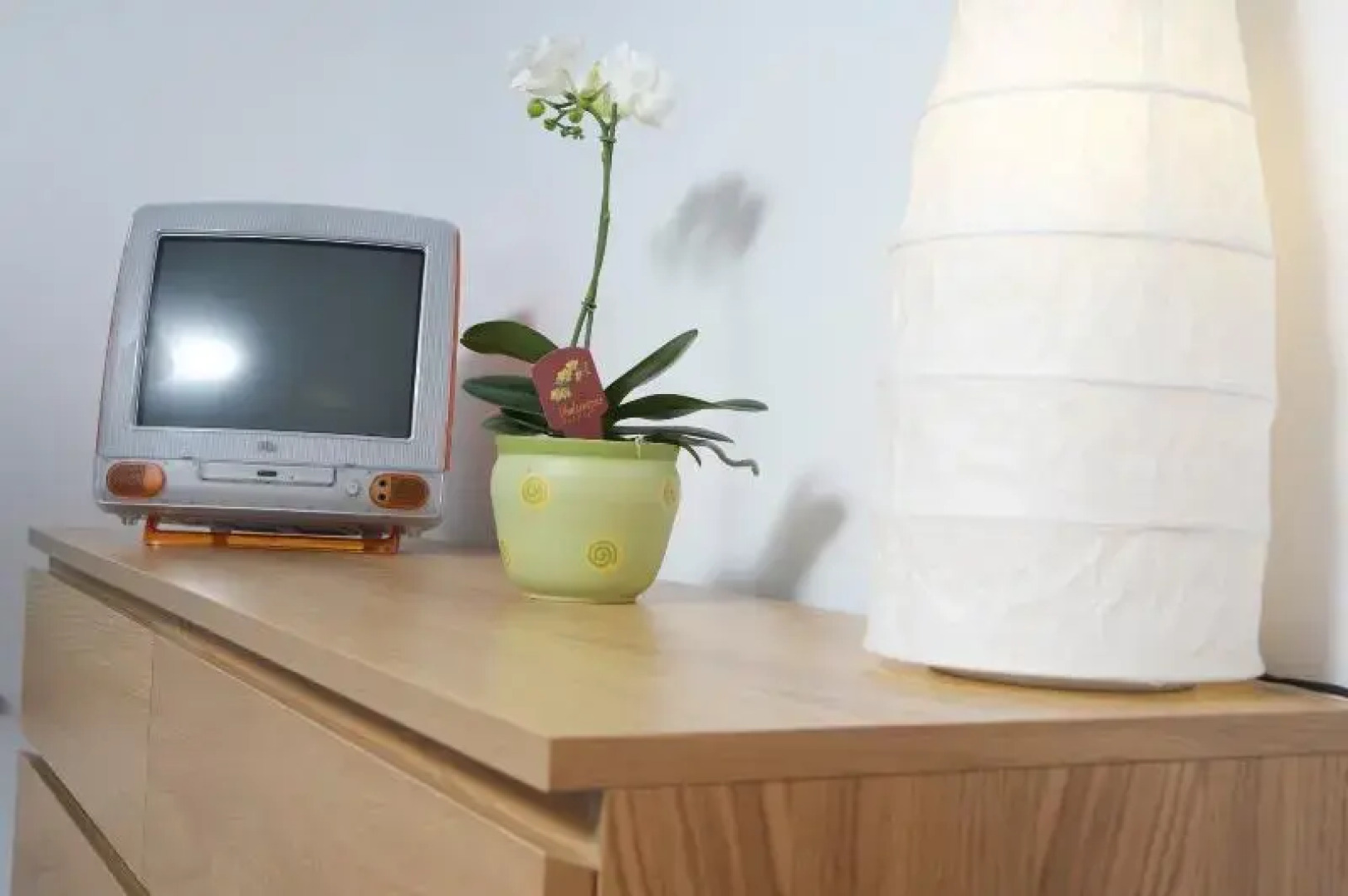 Apartments Rose in winter