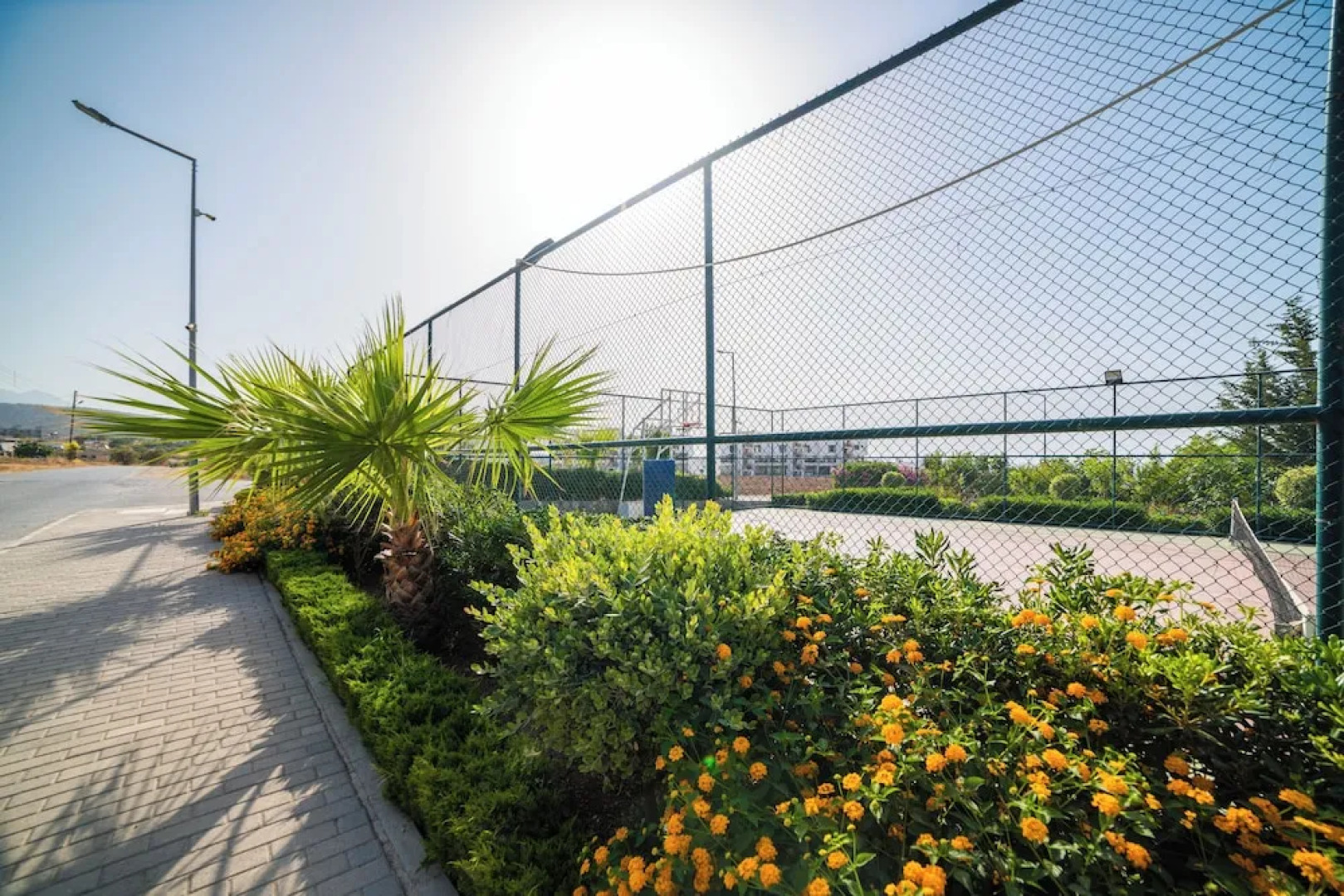 Modern and Cozy Designer Apartment in Relaxing Environment