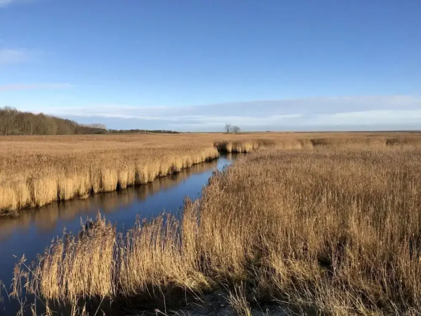 Huus Schippe "stockholm"