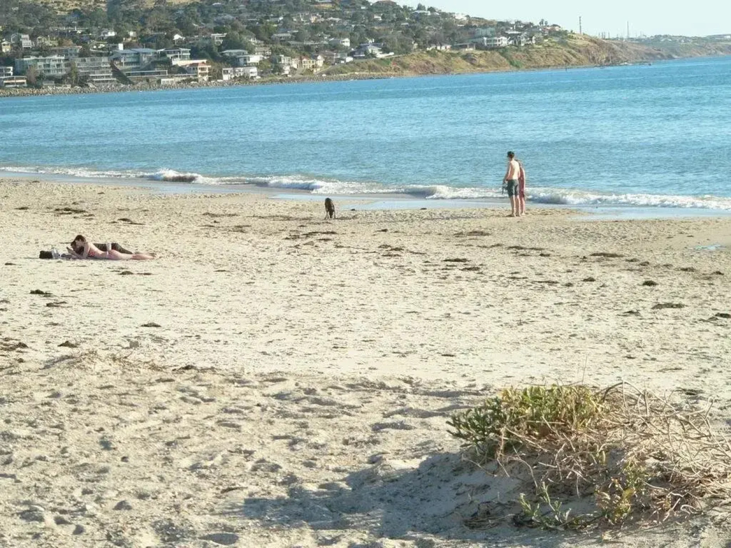 Brighton Beach House