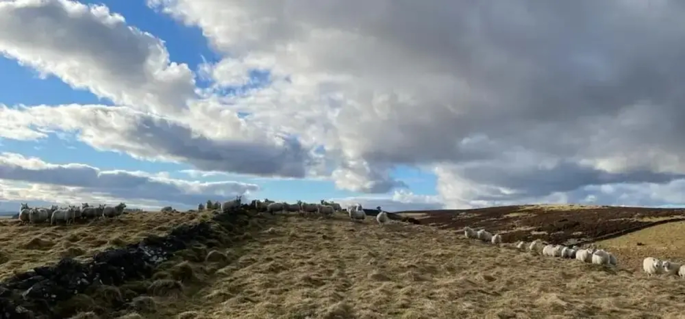 Traditional Bothy Accommodation