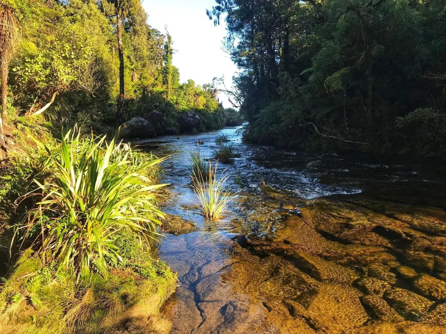 The House With No Nails