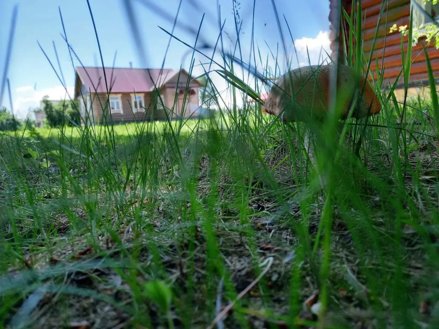 Дом в деревне Чернокуново