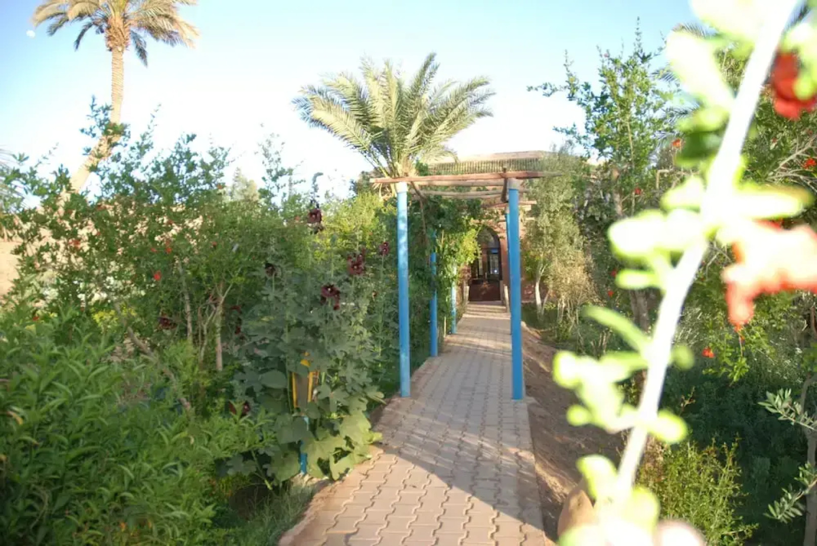 Room in Guest Room - Paradise in the Southern Desert Morocco