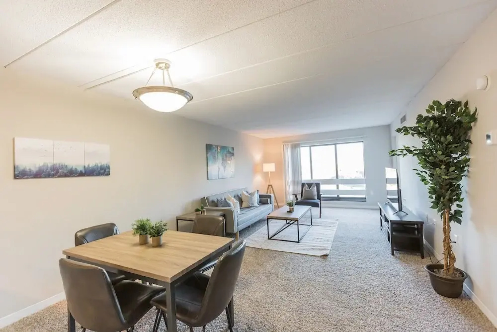 The Luxe Suites of Alexandria