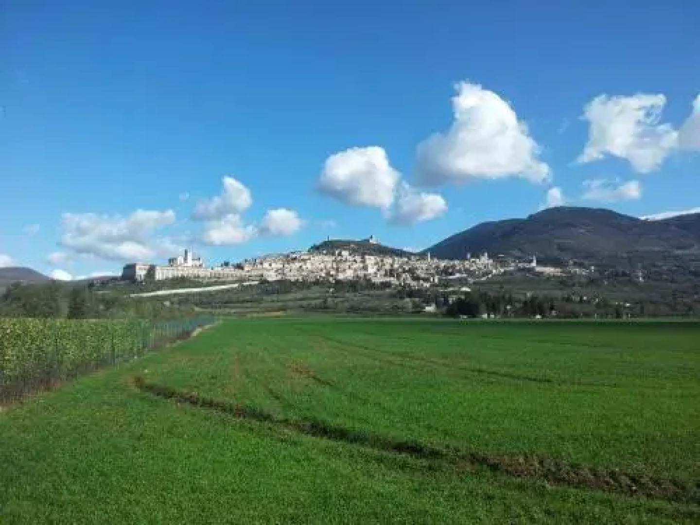 Assisana Affittacamere