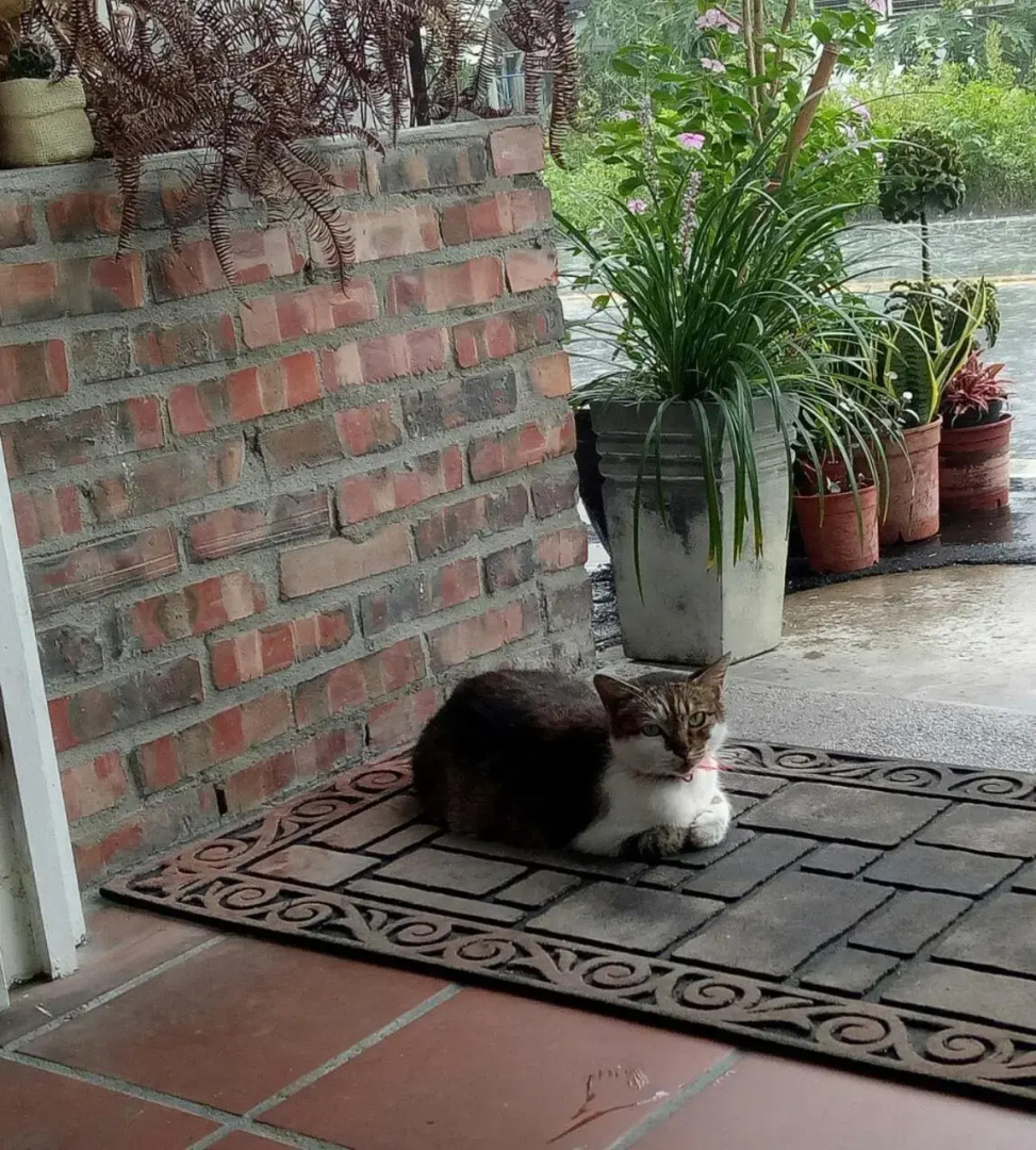 Little Time Guesthouse