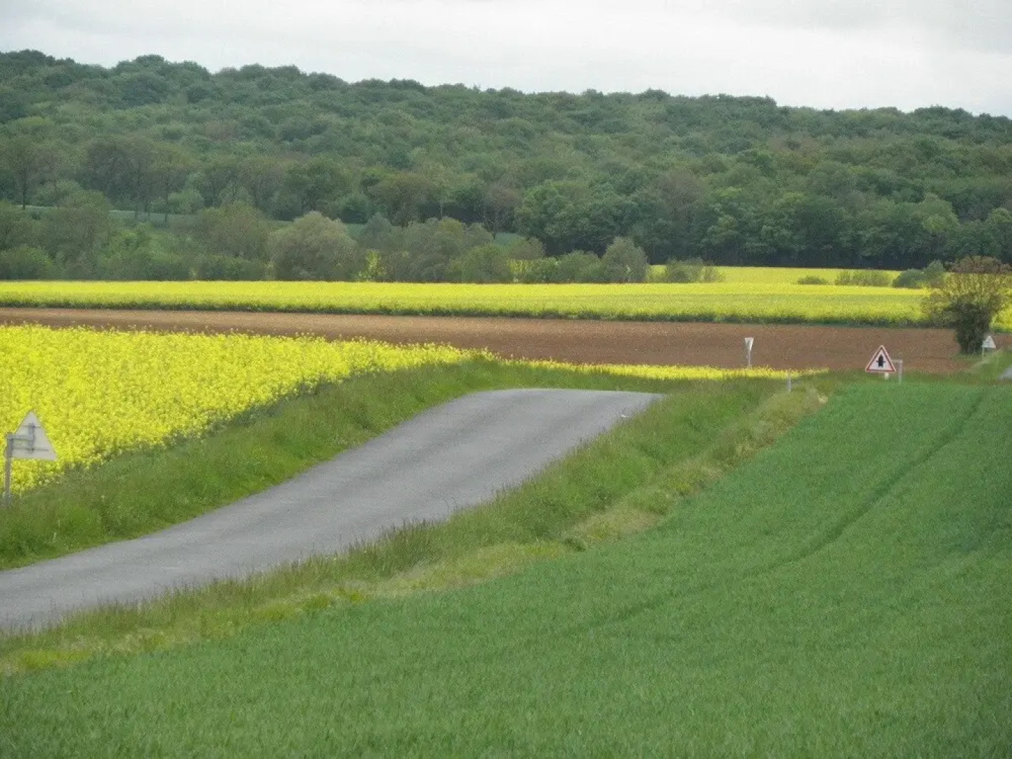 Charme et Délicatesses