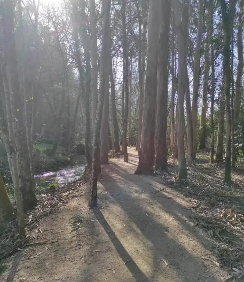 Atico Cuntis Thermae