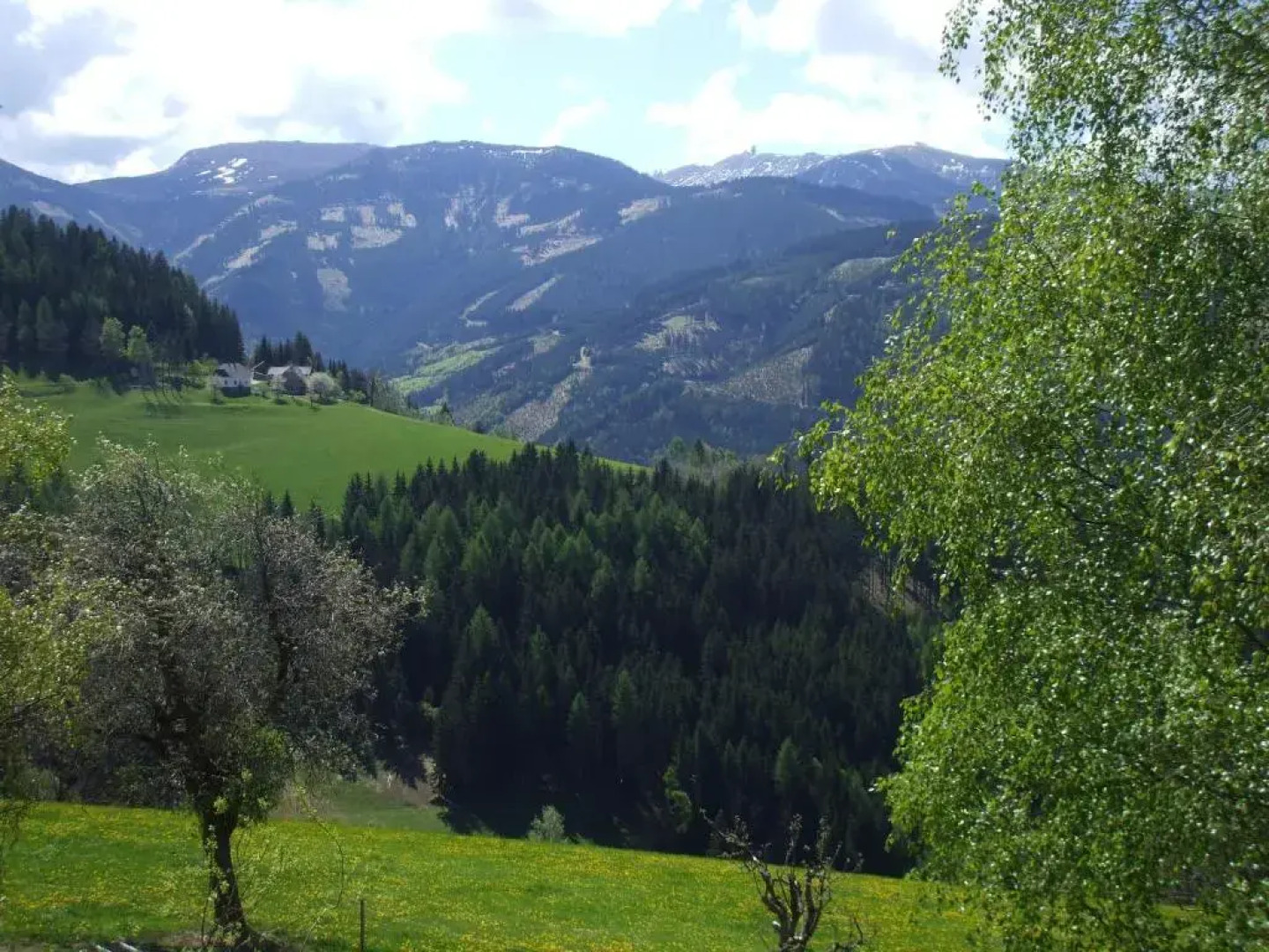 Bauernhof Pension Juri