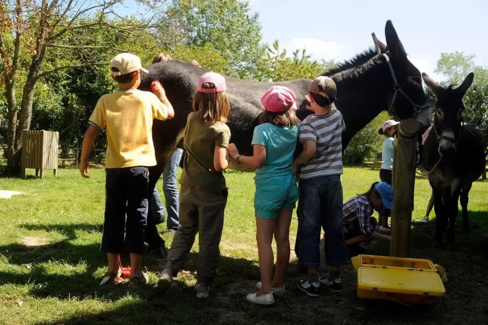 Le Village de Cottages - Le Pôle du Cheval et de l'Âne